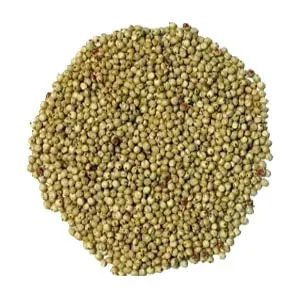 bajra-rates