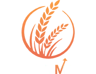 ghalla-mandi-rates--main-logo-white