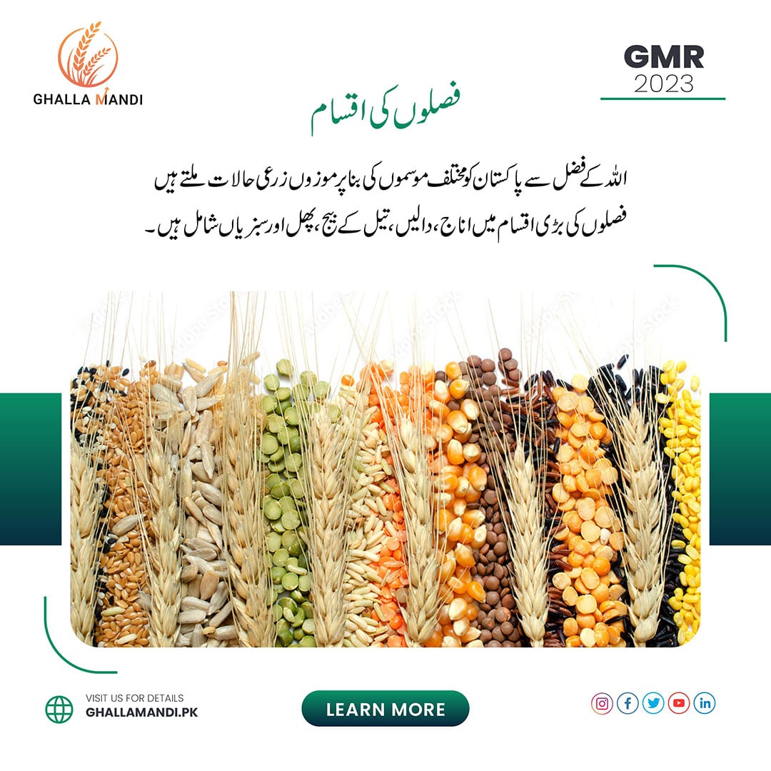 Crop-production-ghalla-mandi-rates-فصل کی بنیادی معلومات: