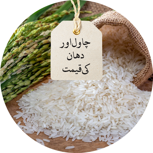 rice-price-in-pakistan-today