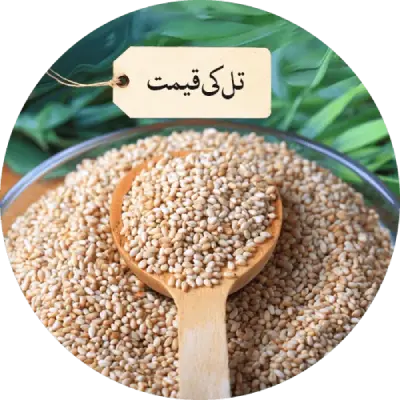 Sesame-price-in-pakistan