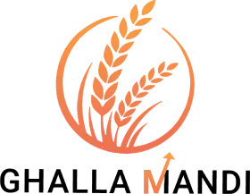 ghalla-mandi-main-logo